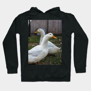 Two White Inseparable Ducks at the Farm Hoodie